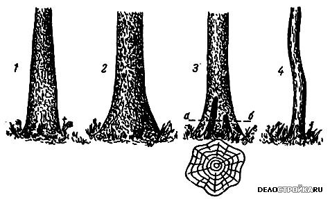 Основные пороки древесины