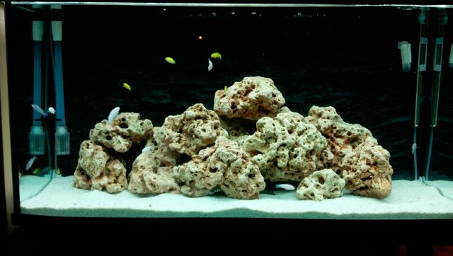 Камни для аквариума: сколько кипятить, как подготовить, своими руками, где взять, виды, оформление, дизайн, какие выбрать, как обработать