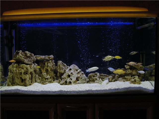 Какие камни можно использовать для аквариума