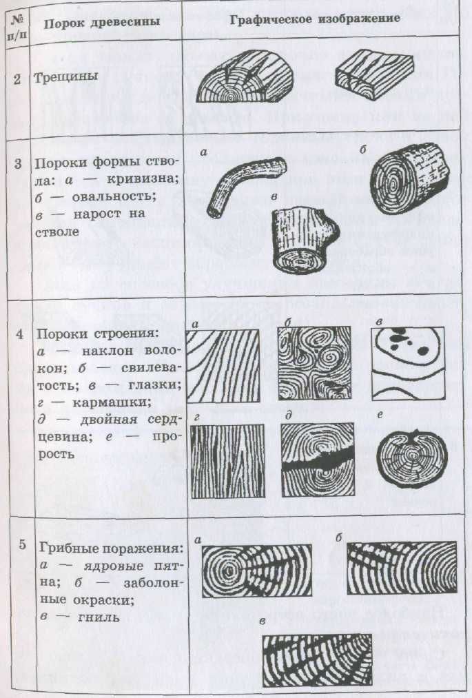Качество древесины и лесопродукции. часть 5