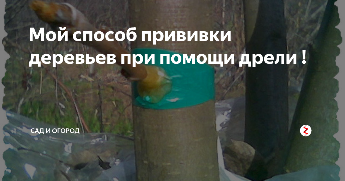 Нитевой лифтинг: плюсы и минусы процедуры | expert clinics