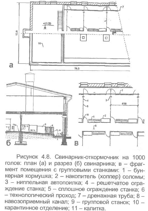 Сооружение свинарника своим руками - пошаговая инструкция с чертежами, фото и видео
