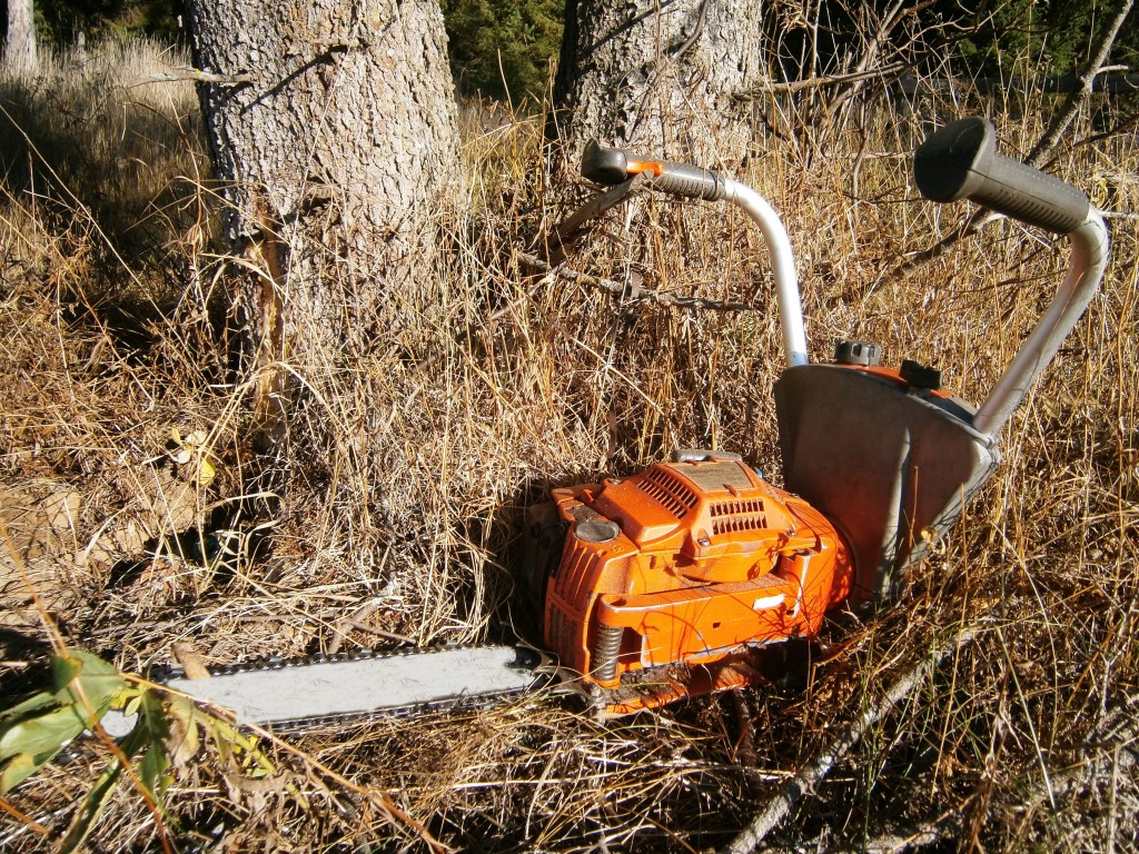 Как спилить дерево бензопилой – подготовка и пошаговый порядок действий