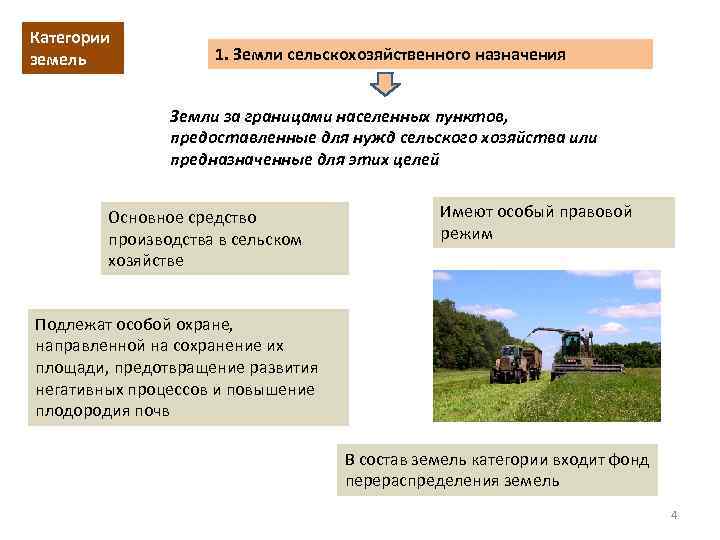 Снос зеленых насаждений на сельскохозяйственых землях в крыму
