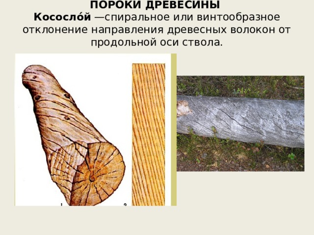 Гост 2140-81 видимые пороки древесины. классификация, термины и определения, способы измерения