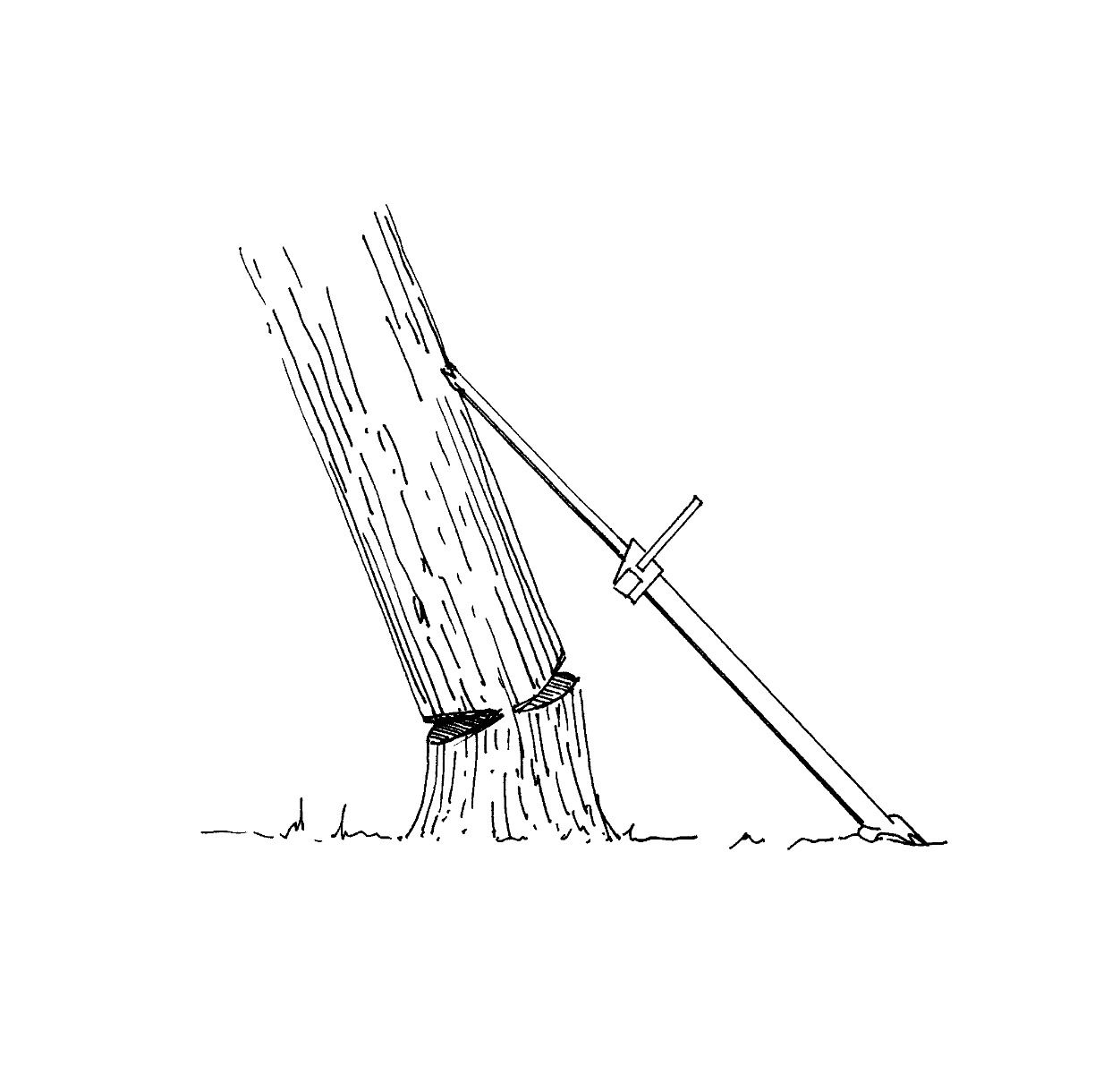Пилим бензопилой деревья правильно и ровно? советы по резке дерева от лесопилов- обзор +видео