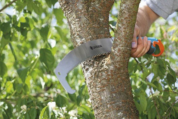 Садовая пила для обрезки деревьев: характеристики и виды