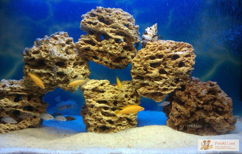 Камни для аквариума своими руками: какие можно использовать, обработка, проблемы
