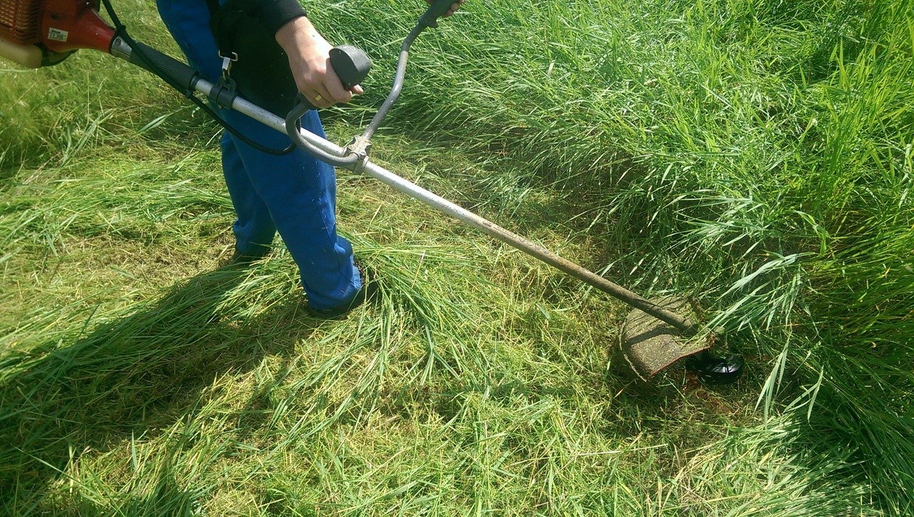 Как правильно косить траву газонокосилкой