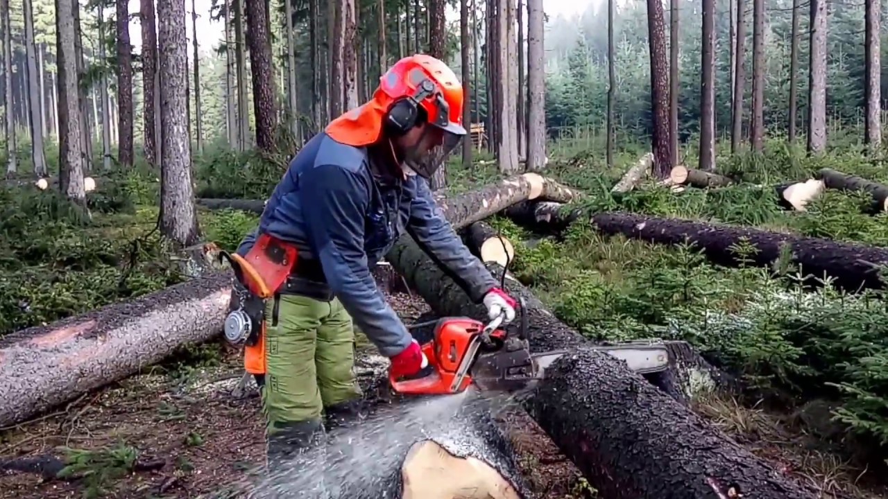 13+ best tools for cutting tree branches for professional