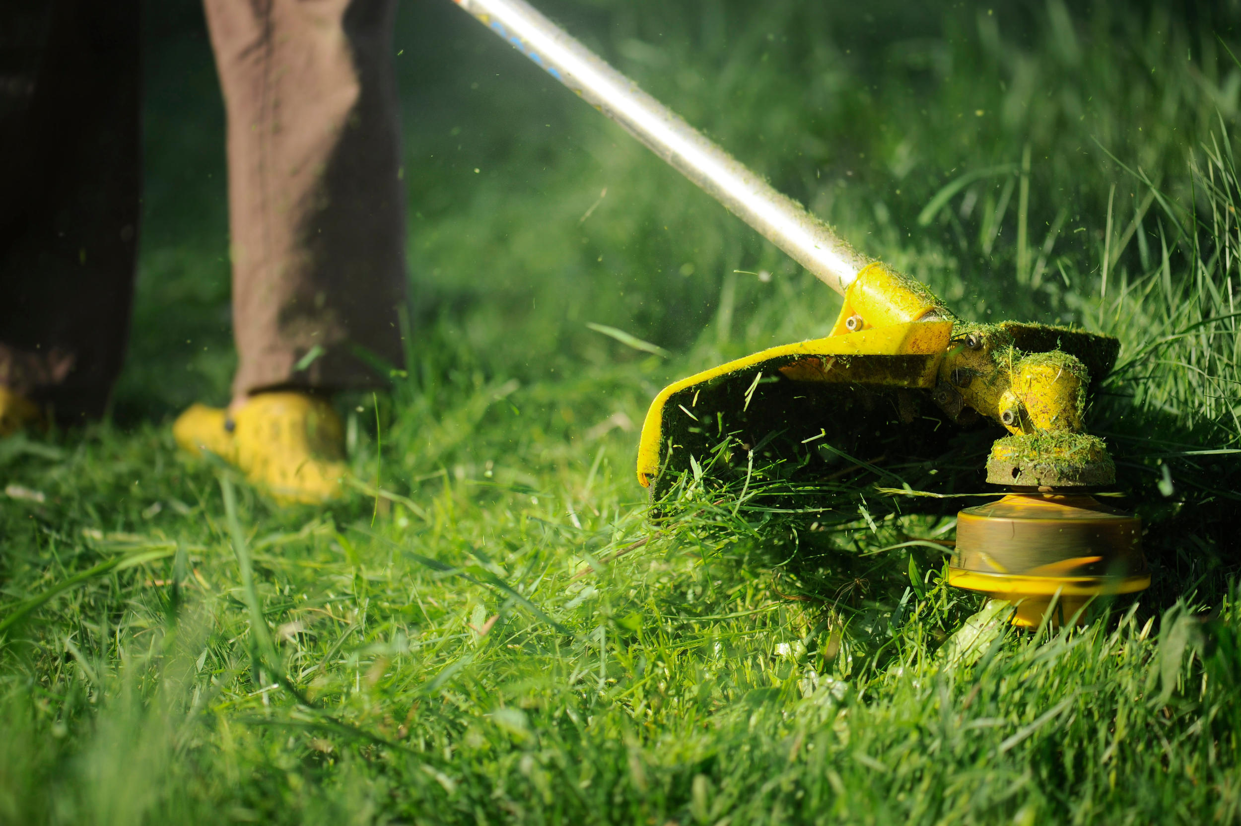 Как правильно стричь газон газонокосилкой: можно ли косить мокрую или высокую траву