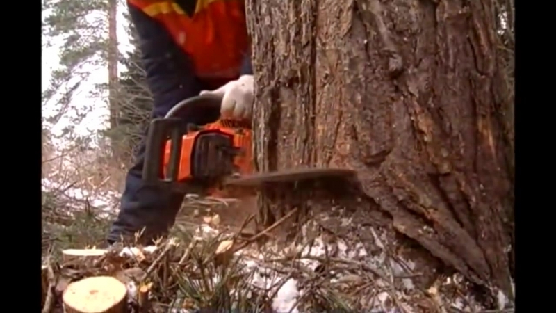 Как распилить доску вдоль – чем пилить дерево