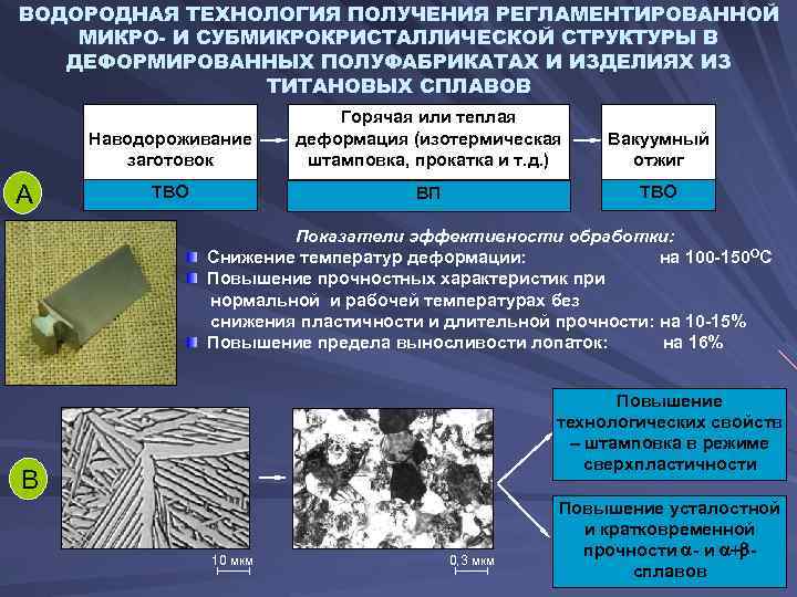 Коллекция металлографических образцов