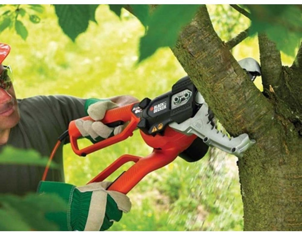 Необходимые инструменты для обрезки деревьев и кустарников