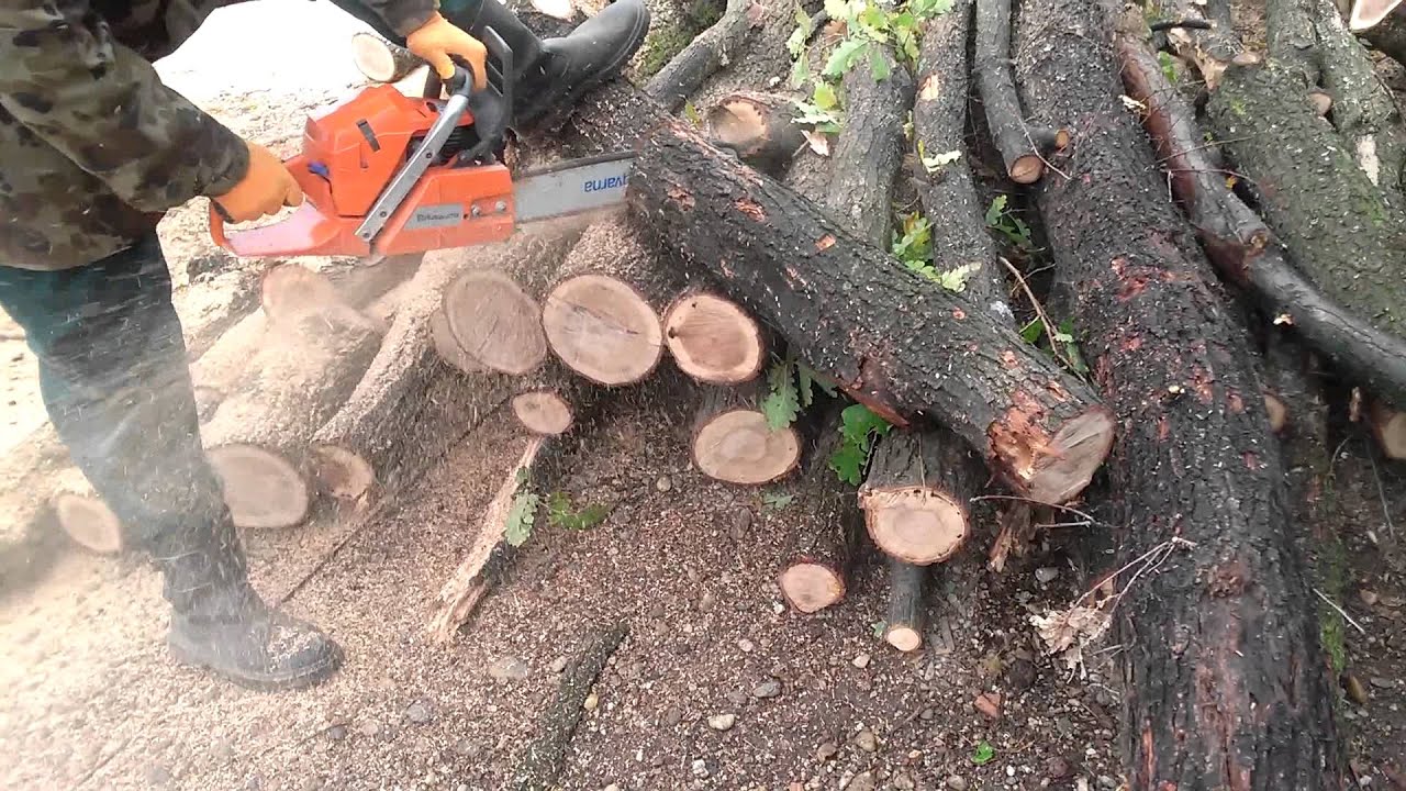13+ best tools for cutting tree branches for lawn care and tree services professional