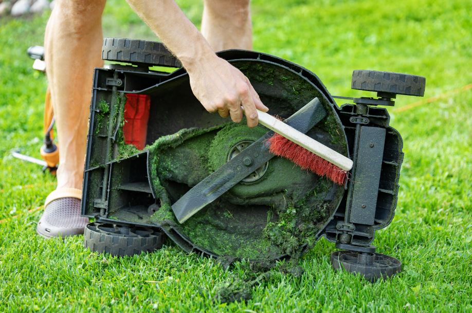 Как отстирать траву: способы удаления пятен, 7 эффективных советов