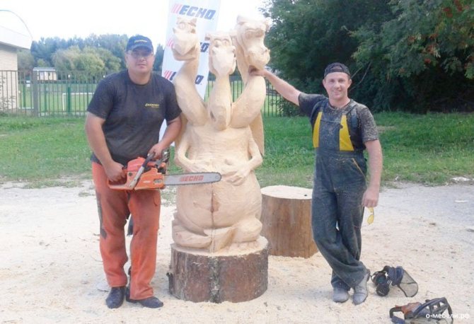 Резьба по дереву бензопилой: деревянные скульптуры для начинающих. как поэтапно вырезать пилой медведя и другие большие скульптуры, белочку и гриб?