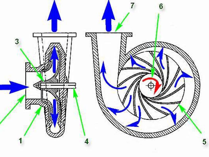 Принцип насоса. Центробежные насосы схема принцип действия. Центробежный насос схема и принцип работы. Принцип работы центробежных насосов схема и устройство. Схема конструкции центробежного насоса.