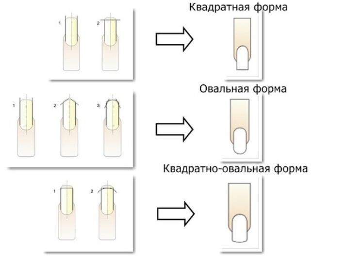 Форму ногтей для маникюра фото схемы как правильно выбрать