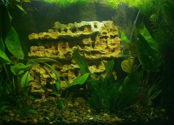 Камни для аквариума: виды,описание,фото,оформление,дизайн,видео