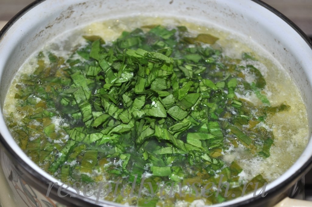 Рецепт зеленого борща с щавелем пошаговый рецепт с фото