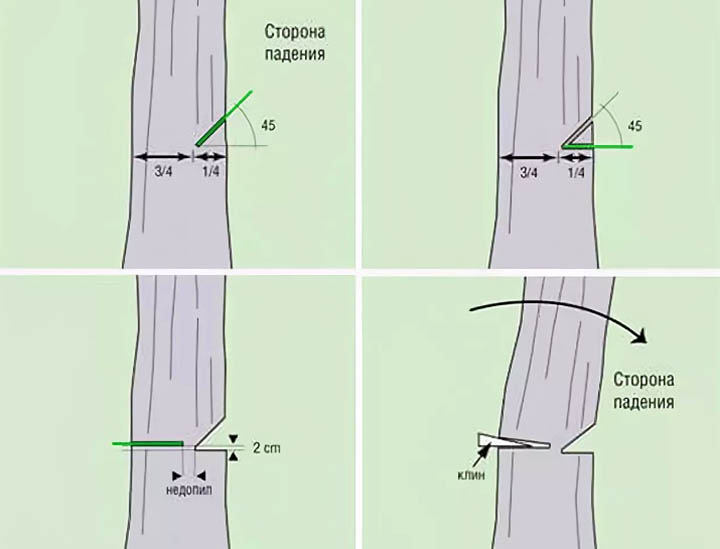 Как быстро спилить дерево