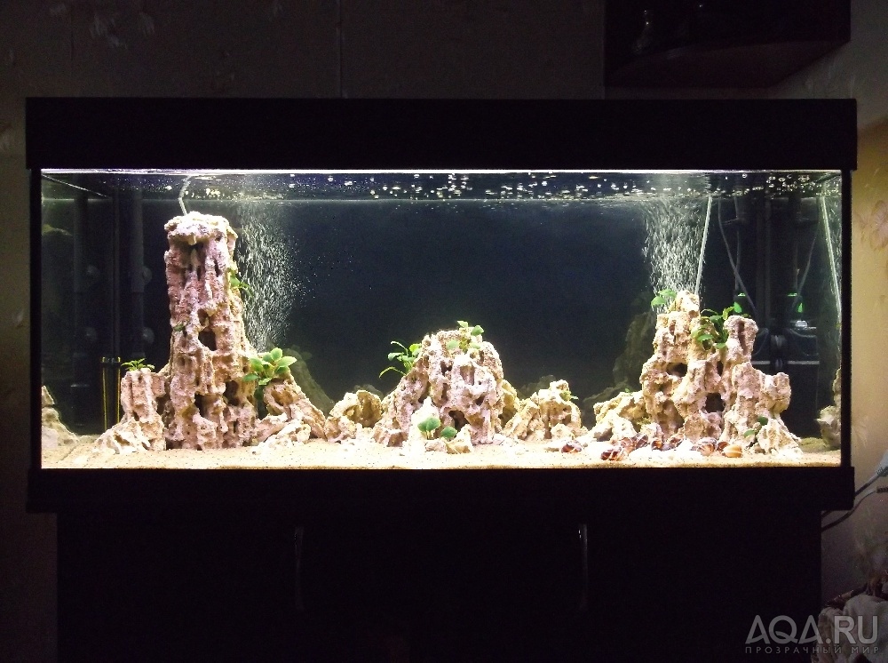 Декорируем аквариум. часть 2: камни, коряги, живые и искусственные растения