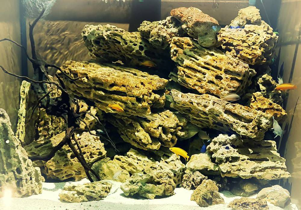 Камни для пресноводного аквариума: как правильно подобрать и обработать